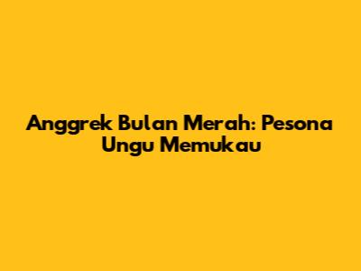 Anggrek Bulan Merah: Pesona Ungu Memukau