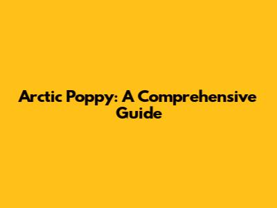 Arctic Poppy: A Comprehensive Guide
