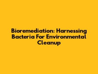 Bioremediation: Harnessing Bacteria For Environmental Cleanup