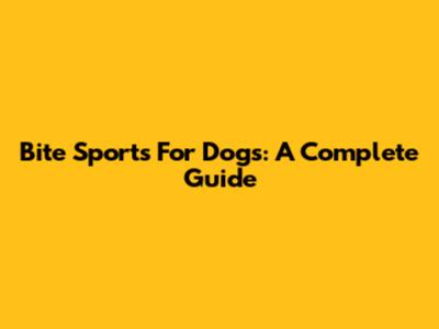Bite Sports For Dogs: A Complete Guide