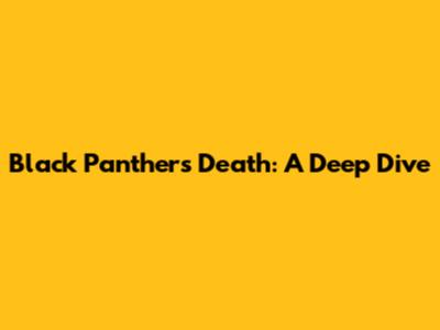 Black Panther's Death: A Deep Dive