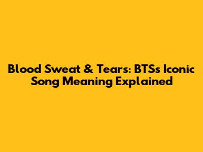 Blood Sweat & Tears: BTS's Iconic Song Meaning Explained
