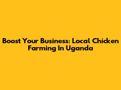 Boost Your Business: Local Chicken Farming In Uganda