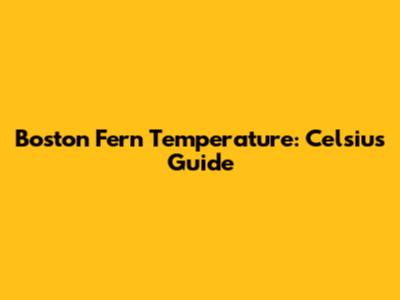 Boston Fern Temperature: Celsius Guide