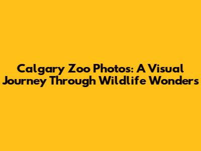 Calgary Zoo Photos: A Visual Journey Through Wildlife Wonders