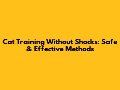 Cat Training Without Shocks: Safe & Effective Methods