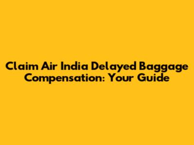 Claim Air India Delayed Baggage Compensation: Your Guide