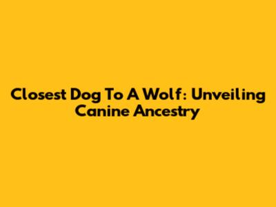 Closest Dog To A Wolf: Unveiling Canine Ancestry