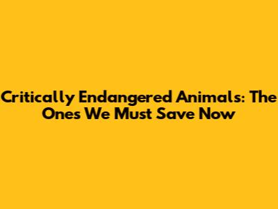 Critically Endangered Animals: The Ones We Must Save Now