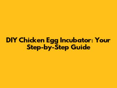 DIY Chicken Egg Incubator: Your Step-by-Step Guide
