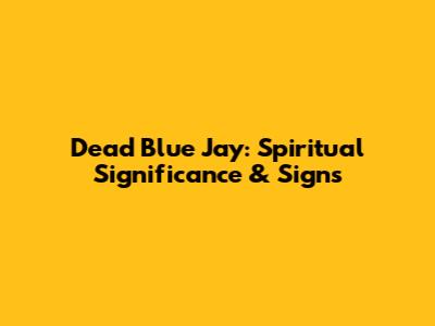 Dead Blue Jay: Spiritual Significance & Signs