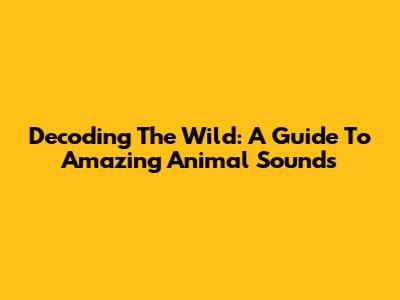 Decoding The Wild: A Guide To Amazing Animal Sounds