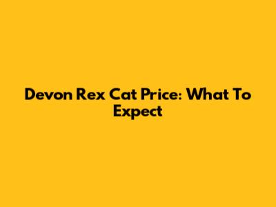 Devon Rex Cat Price: What To Expect