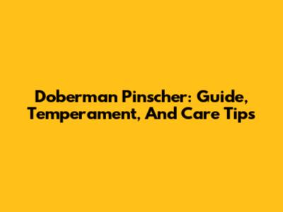 Doberman Pinscher: Guide, Temperament, And Care Tips