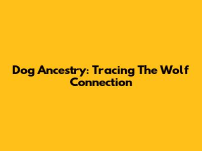 Dog Ancestry: Tracing The Wolf Connection