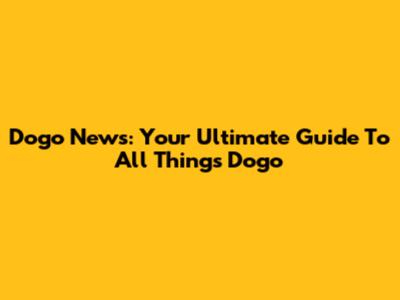 Dogo News: Your Ultimate Guide To All Things Dogo