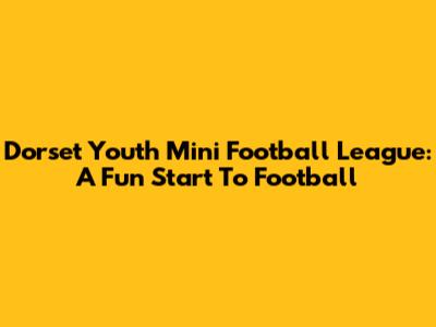 Dorset Youth Mini Football League: A Fun Start To Football