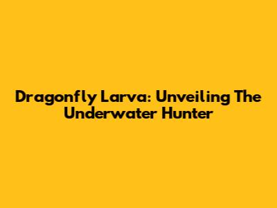 Dragonfly Larva: Unveiling The Underwater Hunter
