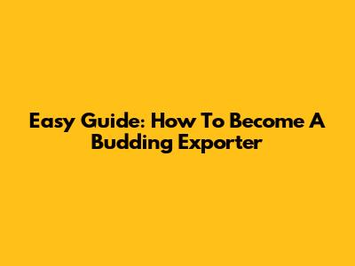 Easy Guide: How To Become A Budding Exporter