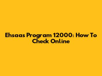 Ehsaas Program 12000: How To Check Online