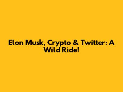 Elon Musk, Crypto & Twitter: A Wild Ride!