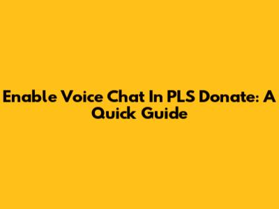 Enable Voice Chat In PLS Donate: A Quick Guide
