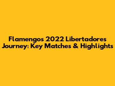 Flamengo's 2022 Libertadores Journey: Key Matches & Highlights