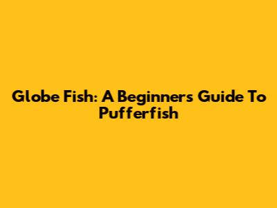 Globe Fish: A Beginner's Guide To Pufferfish