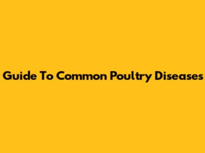 Guide To Common Poultry Diseases