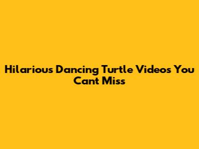 Hilarious Dancing Turtle Videos You Can't Miss