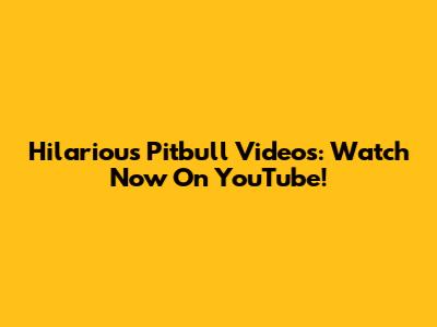 Hilarious Pitbull Videos: Watch Now On YouTube!