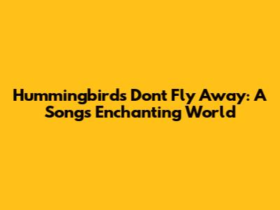 Hummingbird's 'Don't Fly Away': A Song's Enchanting World