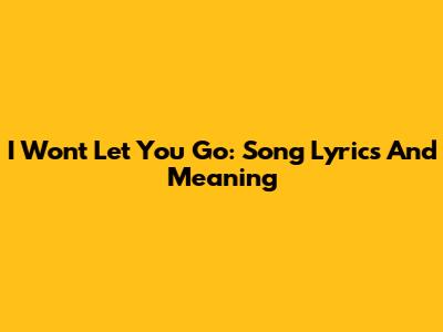 I Won't Let You Go: Song Lyrics And Meaning