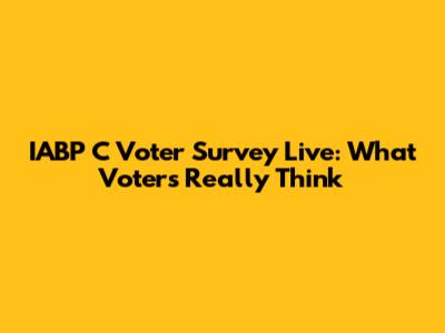 IABP C Voter Survey Live: What Voters Really Think