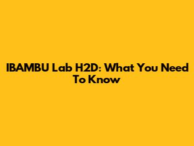 IBAMBU Lab H2D: What You Need To Know