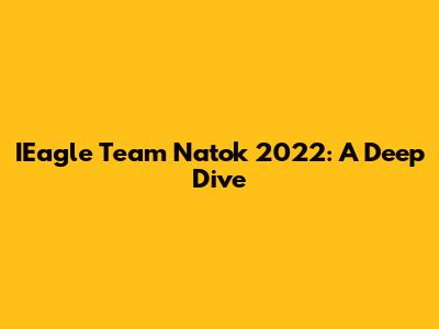 IEagle Team Natok 2022: A Deep Dive