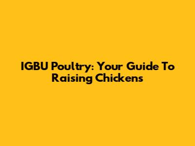 IGBU Poultry: Your Guide To Raising Chickens