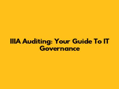 IIIA Auditing: Your Guide To IT Governance