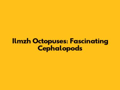 Ilmzh Octopuses: Fascinating Cephalopods