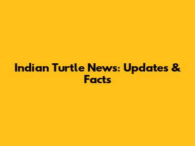 Indian Turtle News: Updates & Facts