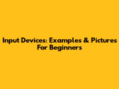 Input Devices: Examples & Pictures For Beginners