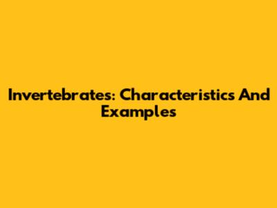 Invertebrates: Characteristics And Examples