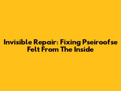 Invisible Repair: Fixing Pseiroofse Felt From The Inside