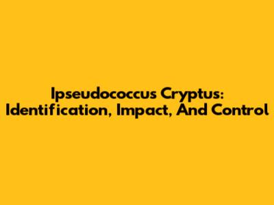 Ipseudococcus Cryptus: Identification, Impact, And Control