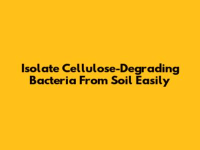 Isolate Cellulose-Degrading Bacteria From Soil Easily