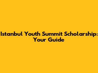 Istanbul Youth Summit Scholarship: Your Guide