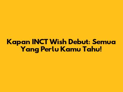 Kapan INCT Wish Debut: Semua Yang Perlu Kamu Tahu!