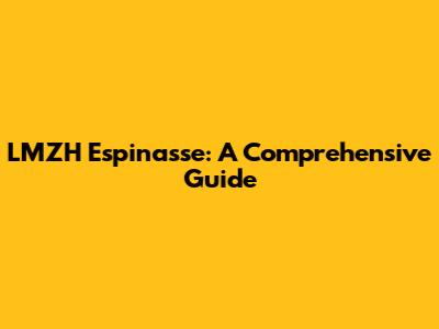 LMZH Espinasse: A Comprehensive Guide