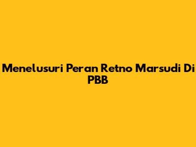 Menelusuri Peran Retno Marsudi Di PBB