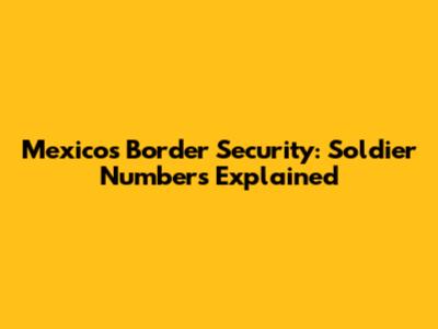 Mexico's Border Security: Soldier Numbers Explained